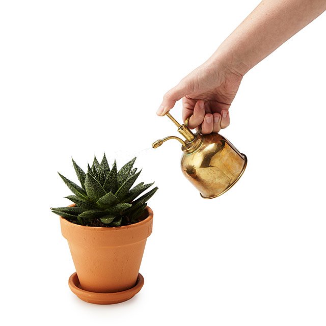 brass water mister gifts for plant lovers