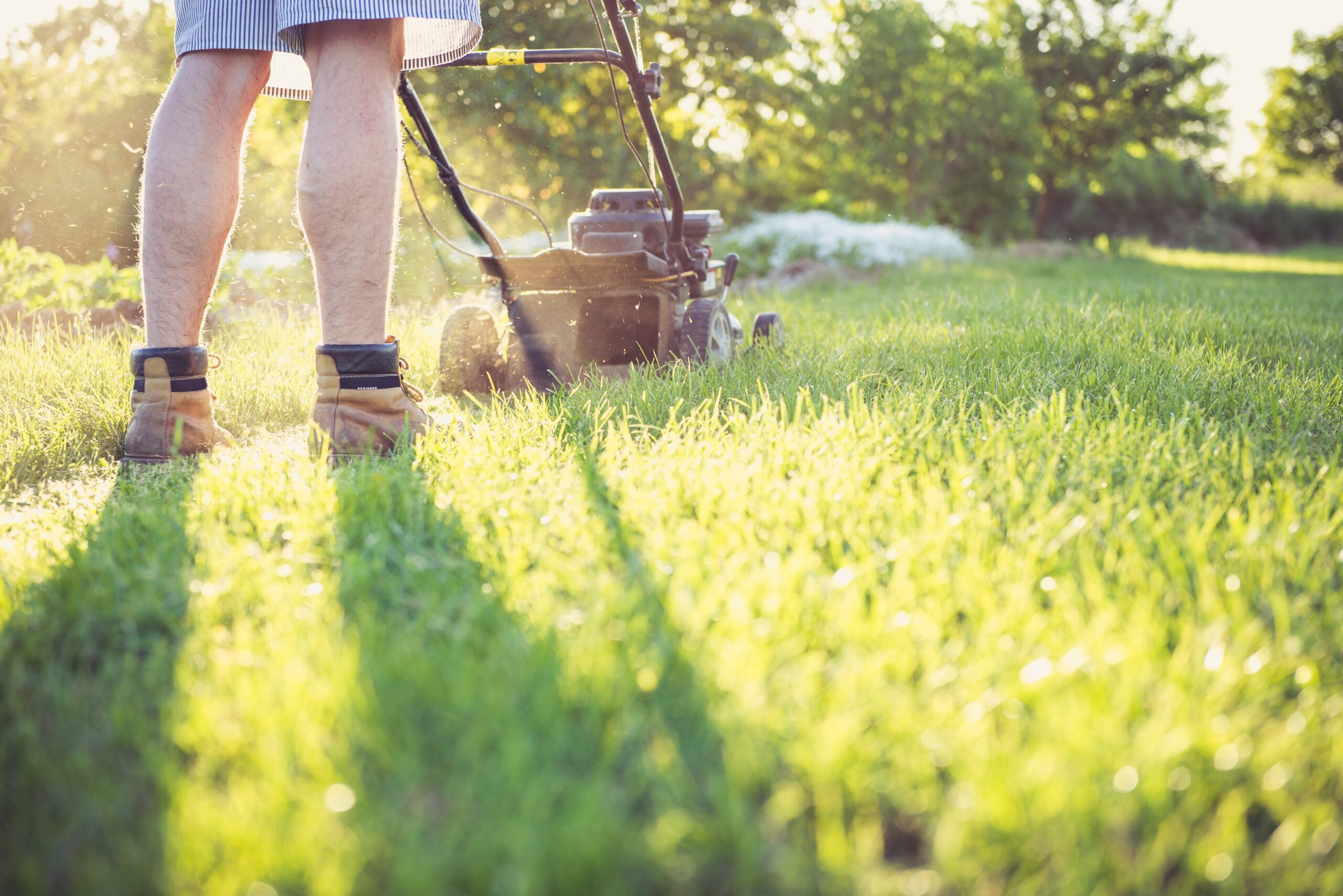 how to mow a lawn properly